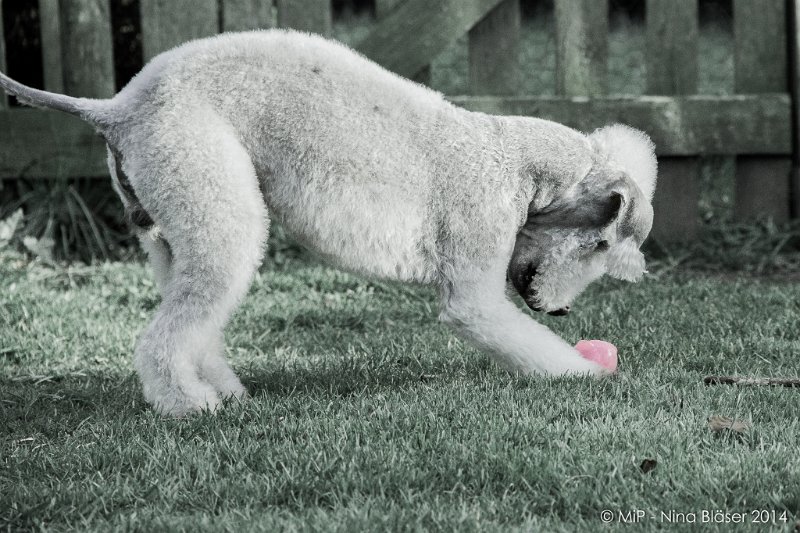 2014-03-14 Svet-8037-2.jpg